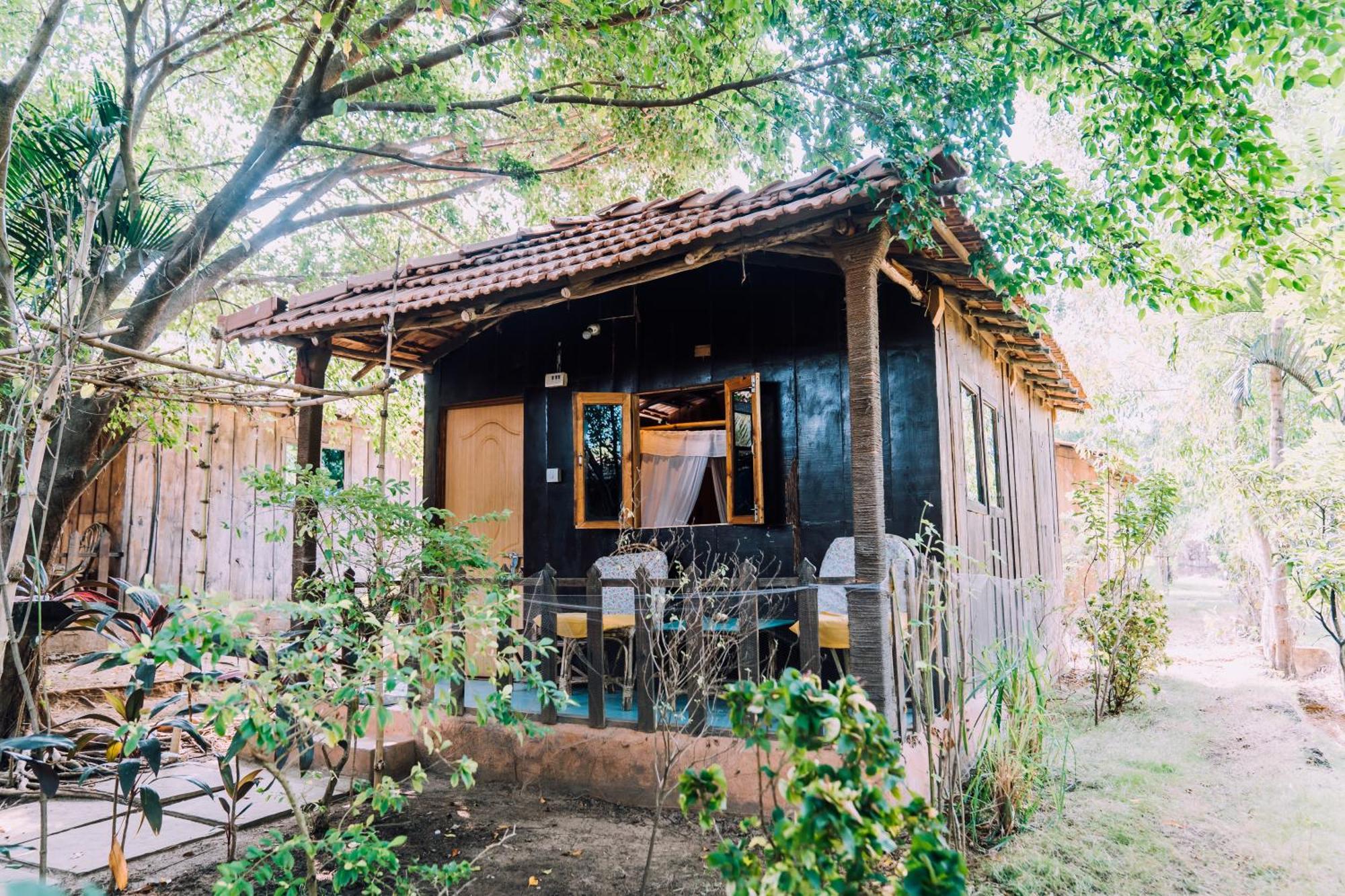 Jamboree Creek Yoga Mandrem Exterior photo