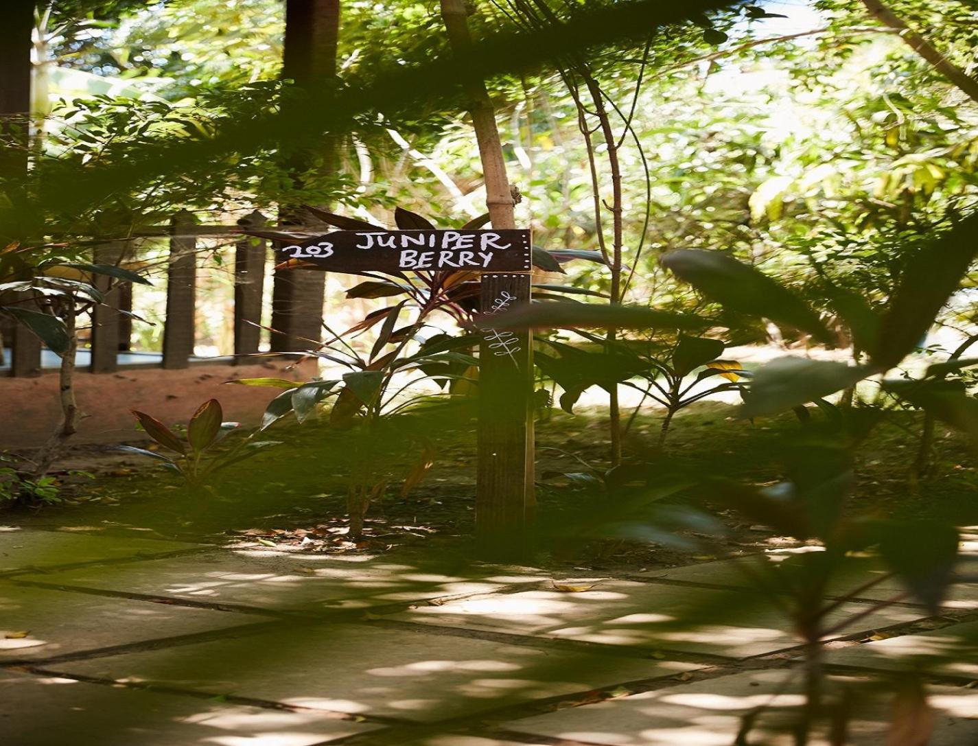 Jamboree Creek Yoga Mandrem Exterior photo