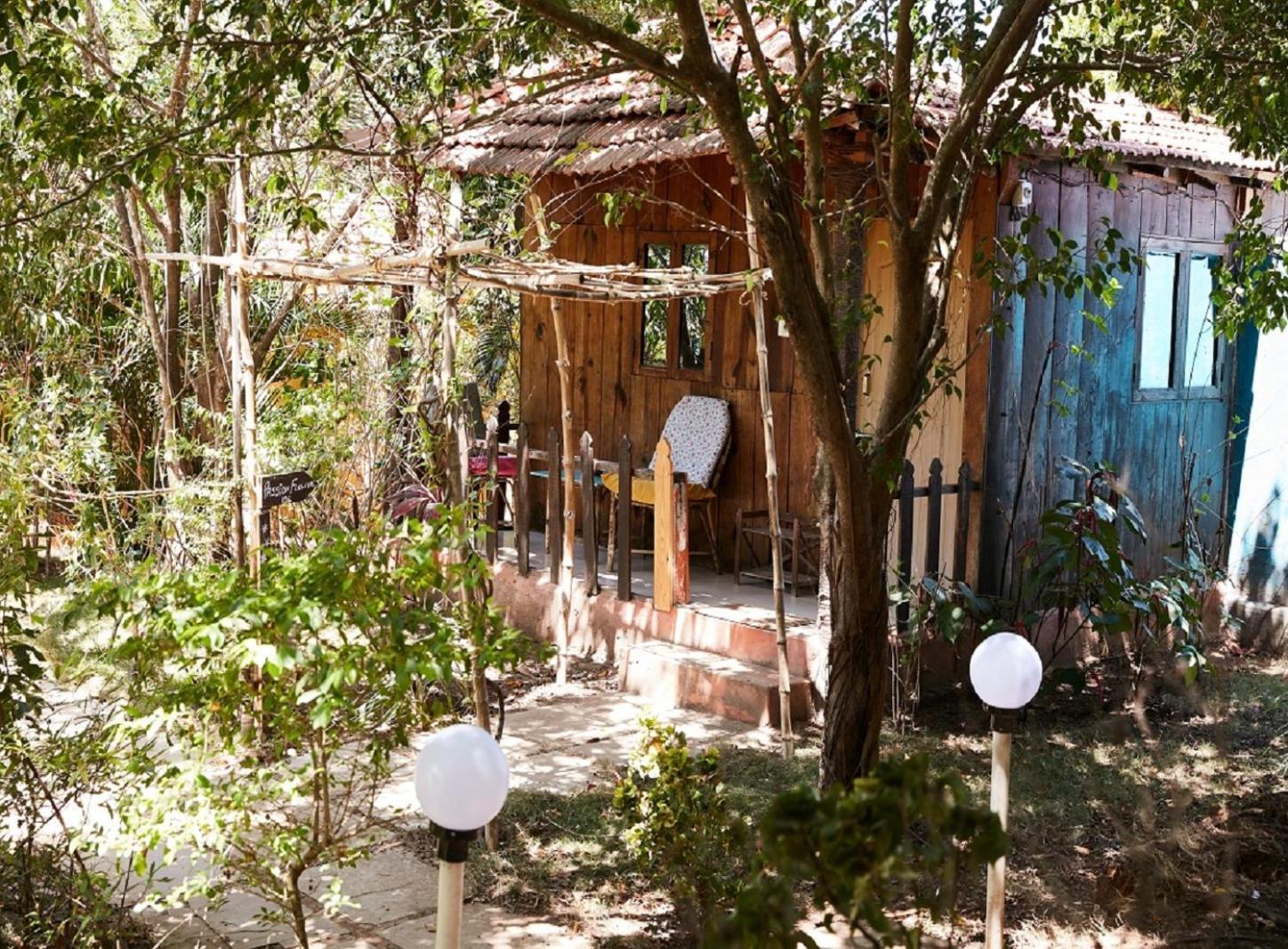 Jamboree Creek Yoga Mandrem Exterior photo